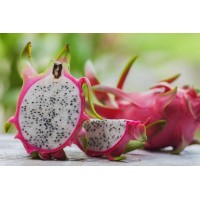 Dragon Fruit