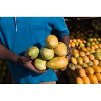 African Mango
