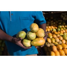 African Mango