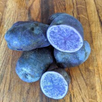 All Blue Potato