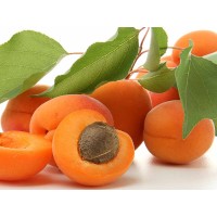 Apricot