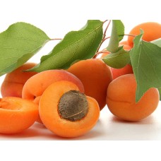 Apricot