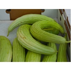 Armenian Cucumber