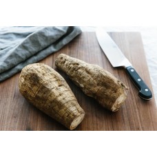 Arrowroot