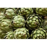 Artichoke