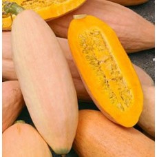Banana Squash