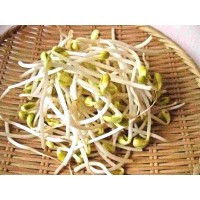 Bean Sprouts