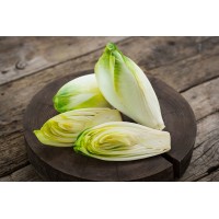 Belgian Endive