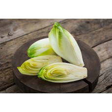 Belgian Endive