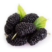 Black Mulberry