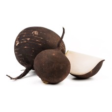 Black Radish