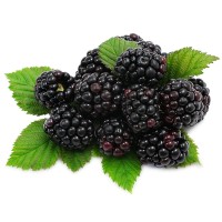 Blackberry