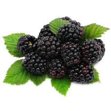 Blackberry