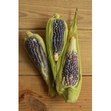 Blue Corn