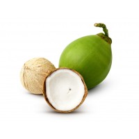 Bolivian Mountain Coconut