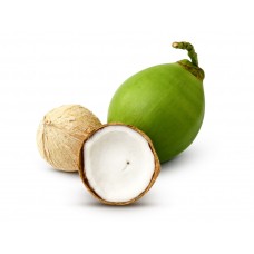 Bolivian Mountain Coconut