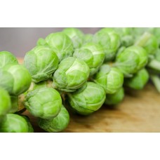 Brussels Sprout