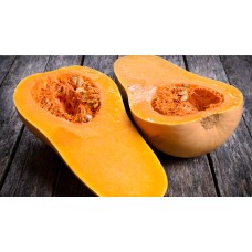 Butternut Squash
