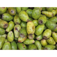 Cactus Pear