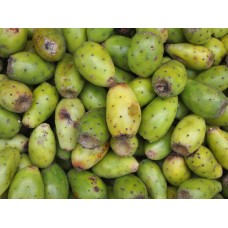 Cactus Pear