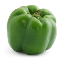 Capsicum
