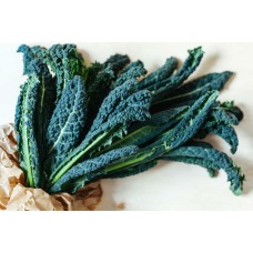 Cavolo Nero
