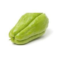 Chayote