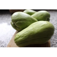 Chayote Squash