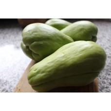 Chayote Squash