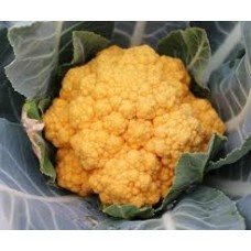 Cheddar Cauliflower