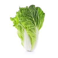 Chinese Cabbage