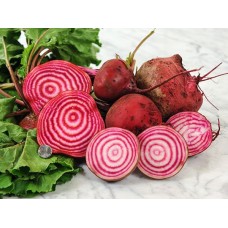 Chioggia Beet