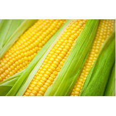 Corn