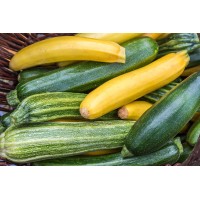 Courgette