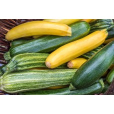 Courgette