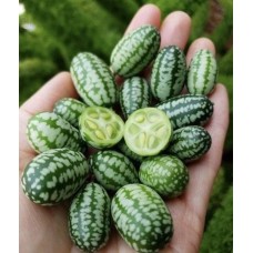 Cucamelon