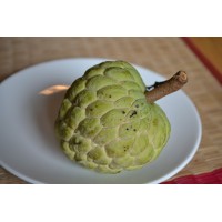 Custard Apple