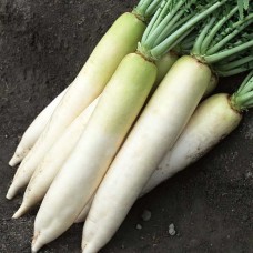 Daikon