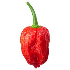 Dorset Naga Pepper