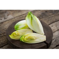 Endive