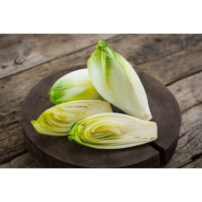 Endive