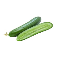 English Cucumber
