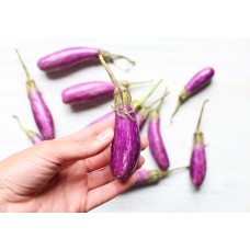 Fairytale Eggplant