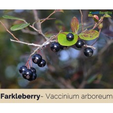 Farkleberry