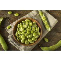 Fava Bean