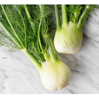 Fennel