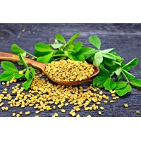 Fenugreek