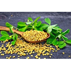 Fenugreek