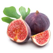 Fig
