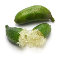 Finger Lime